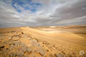 negev desert cholot kasui חולות כסוי photographed by Yonit Schiller © 2015 יונית שילר